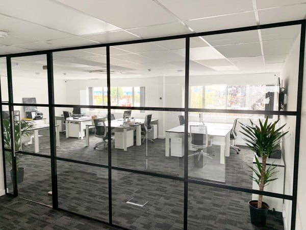 Office Refurbishment (Newbury, Berkshire): T-Bar Industrial Style Acoustic Glazing