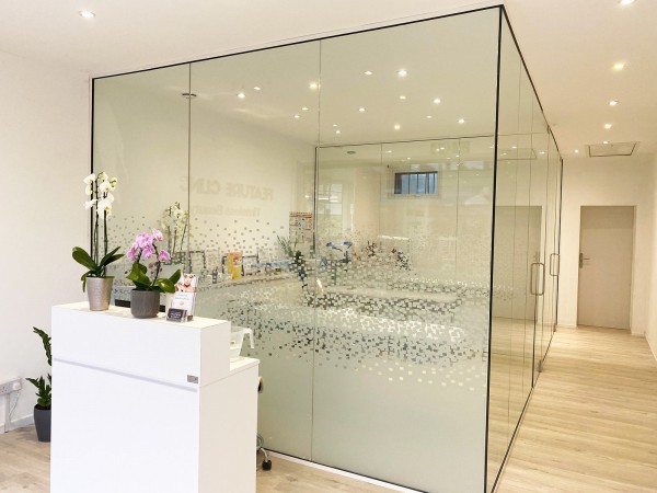 Single Glazed Frameless Glass Office Partitioning