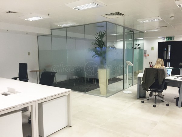 Single Glazed Frameless Glass Office Partitioning