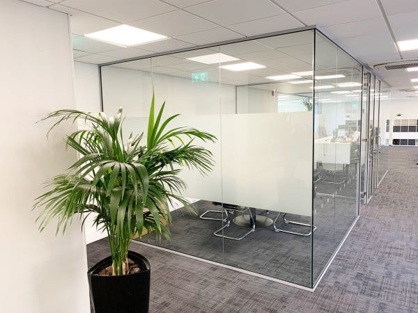 Single Glazed Frameless Glass Office Partitioning