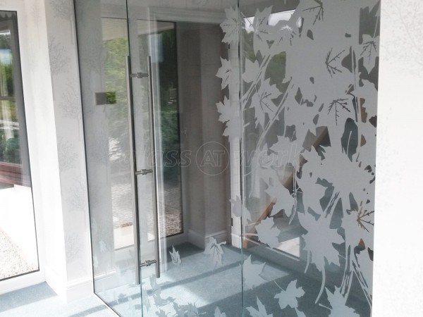 Domestic Project (Holywell, Flintshire): Frameless Glass Door Vestibule