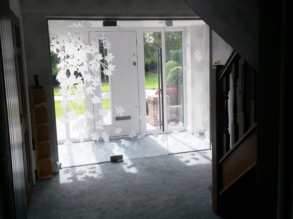 Domestic Project (Holywell, Flintshire): Frameless Glass Door Vestibule