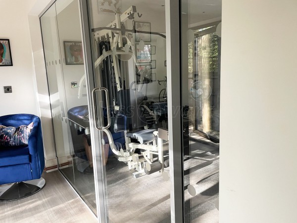 Domestic Project (Claygate, Surrey): Home Gym Glass Wall and Door