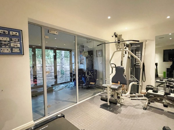 Domestic Project (Claygate, Surrey): Home Gym Glass Wall and Door